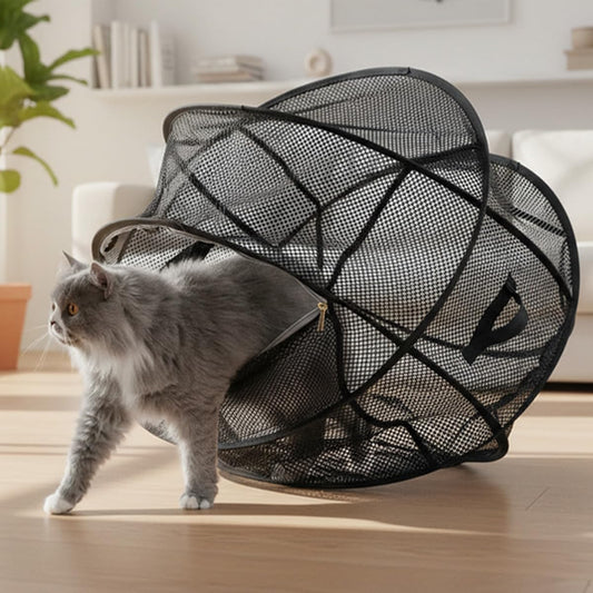 Kitty Roller